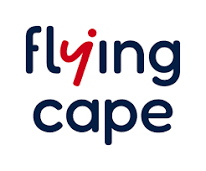 Flying Cape Pte Ltd logo